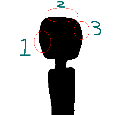 Image of silhouette of a Doxy head with bottom of left side marked '1', top center of head marked '2' and top right of head marked '3'