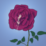 Image of a beautiful red rose against a blue background, and from the centre of the rose petals there drips a thick, white, semenlike fluid