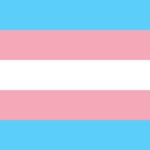 Trans pride flag - baby blue stripes at the top and bottom, pink stripes just inside, then one white stripe in the middle