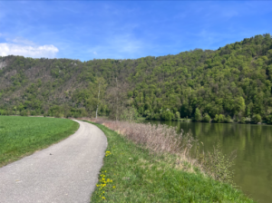 Blue sky, white fluffy clouds, mountains with trees either side of a wide, calm river. Cycle path on the left bank with wildflowers and grass