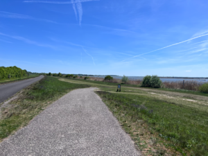 Gorgeous raised/smooth cycle path on the left, slightly less smooth off-ramp leading down to grassy meadows and riverbank with trees on the right