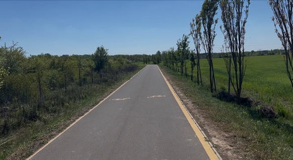 Smooth cycle path with yellow bikes painted on it, neat trees on the right hand side and bushes/fields on the left